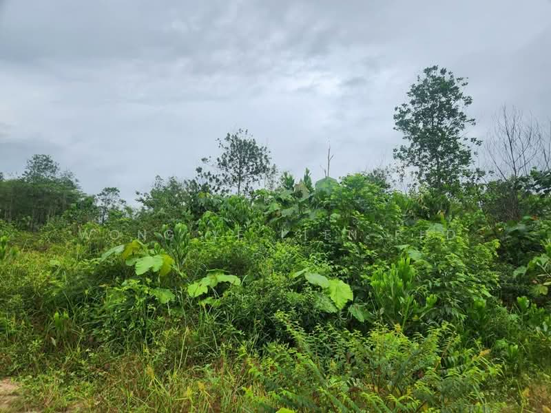 Tanah Pertanian untuk Disewa di Sungai Gumut (Selangor) - Wong Ye Lien PhD - Exterior - PropertyGuru.com.my