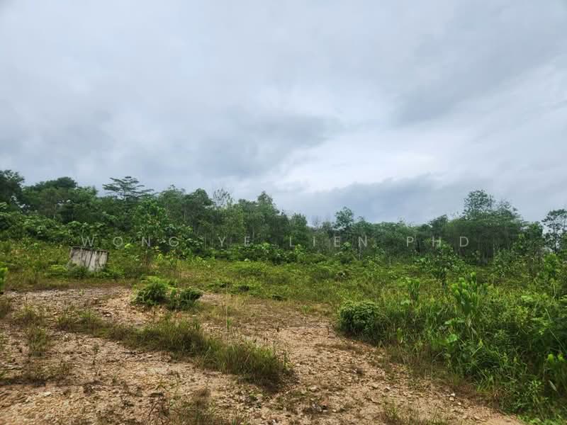 Tanah Pertanian untuk Disewa di Sungai Gumut (Selangor) - Wong Ye Lien PhD - Exterior - PropertyGuru.com.my