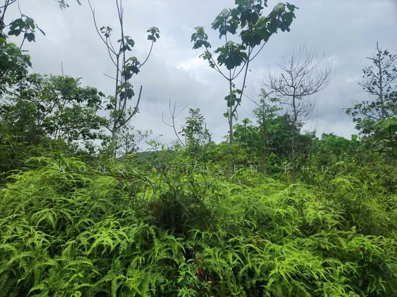 Tanah Pertanian untuk Disewa di Sungai Gumut (Selangor) - Wong Ye Lien PhD - Exterior - PropertyGuru.com.my