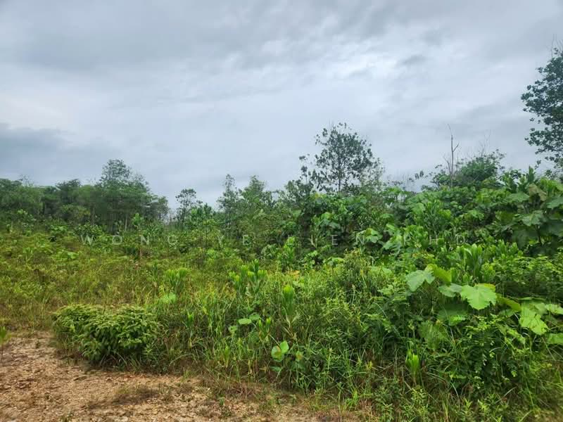Tanah Pertanian untuk Disewa di Sungai Gumut (Selangor) - Wong Ye Lien PhD - Exterior - PropertyGuru.com.my