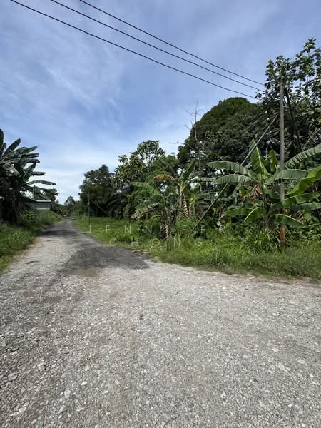 Agricultural Land for Sale in Sandakan (Sabah) - Jennifer Chong - Exterior - PropertyGuru.com.my