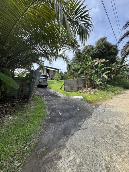 Agricultural Land for Sale in Sandakan (Sabah) - Jennifer Chong - Exterior - PropertyGuru.com.my