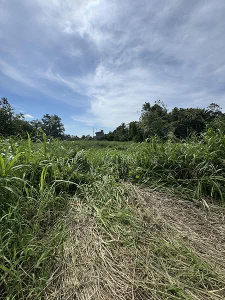 Agricultural Land for Sale in Sandakan (Sabah) - Jennifer Chong - Exterior - PropertyGuru.com.my