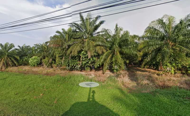 Tanah Pertanian untuk Dijual di Jenjarom (Selangor) - Chris Tye - Exterior - PropertyGuru.com.my