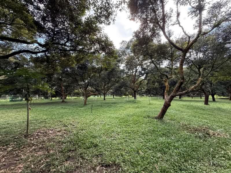Tanah Pertanian untuk Dijual di Raub (Pahang) - Yenn Chong - PropertyGuru.com.my