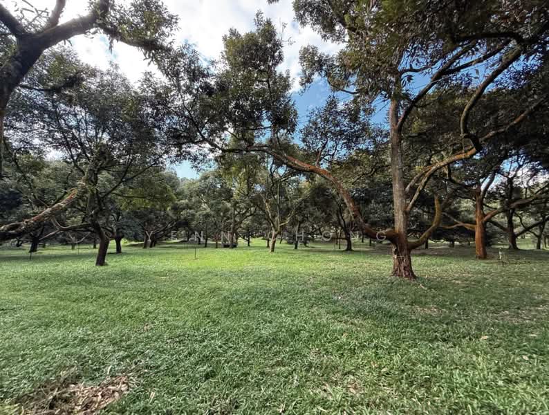 Tanah Pertanian untuk Dijual di Raub (Pahang) - Yenn Chong - PropertyGuru.com.my