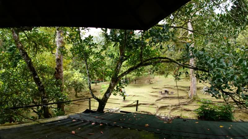 Agricultural Land for Sale in Bentong (Pahang) - Yenn Chong - PropertyGuru.com.my