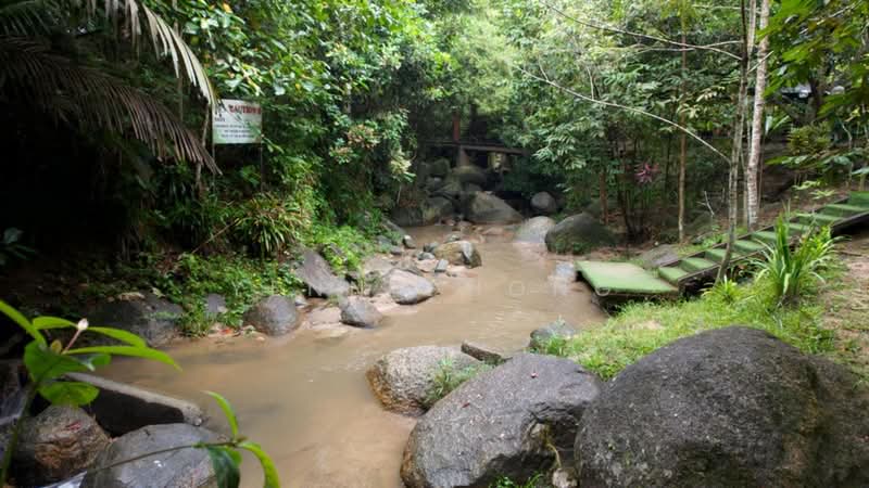 Agricultural Land for Sale in Bentong (Pahang) - Yenn Chong - PropertyGuru.com.my
