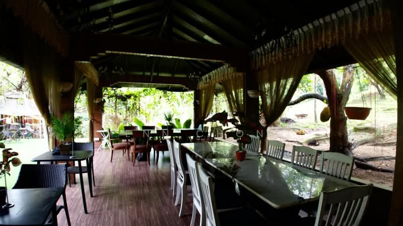 Agricultural Land for Sale in Bentong (Pahang) - Yenn Chong - PropertyGuru.com.my