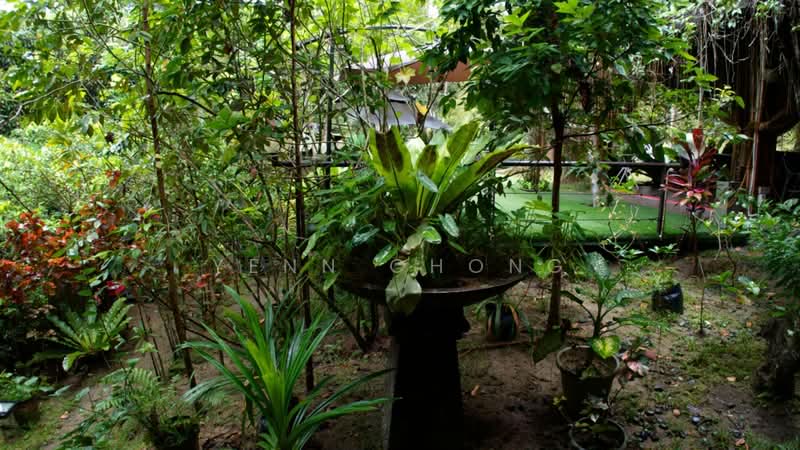 Agricultural Land for Sale in Bentong (Pahang) - Yenn Chong - PropertyGuru.com.my