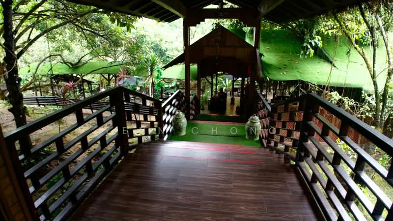 Agricultural Land for Sale in Bentong (Pahang) - Yenn Chong - PropertyGuru.com.my
