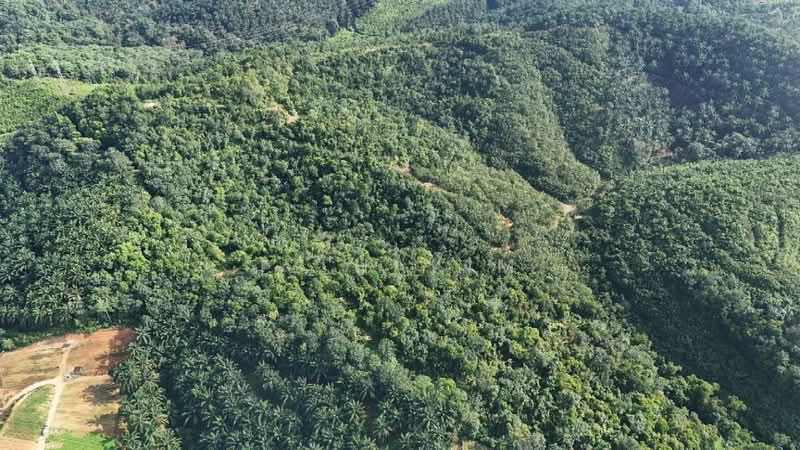 Agricultural Land for Sale in Rasa (Selangor) - Iz Hakim - PropertyGuru.com.my