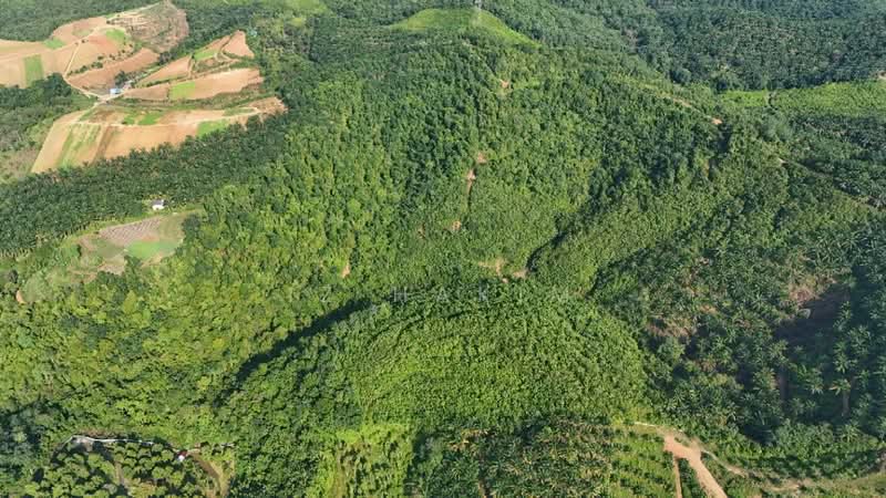 Agricultural Land for Sale in Rasa (Selangor) - Iz Hakim - Exterior - PropertyGuru.com.my