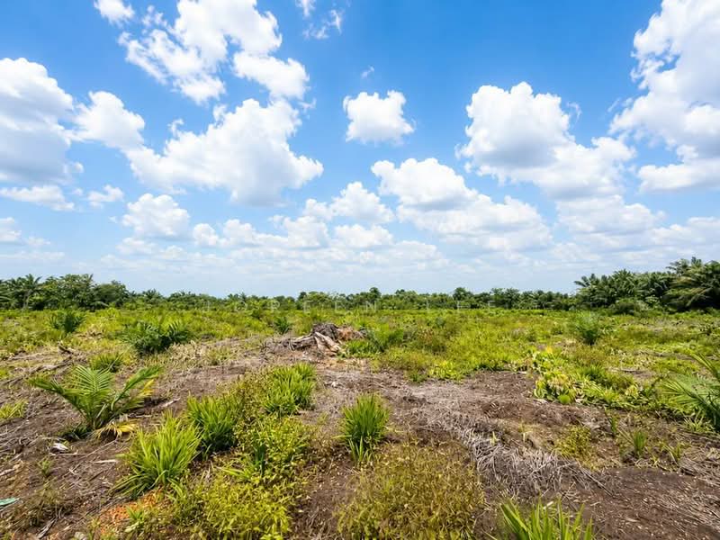 Agricultural Land for Sale in Parit Sikom (Pontian) - Joreen Lee - PropertyGuru.com.my