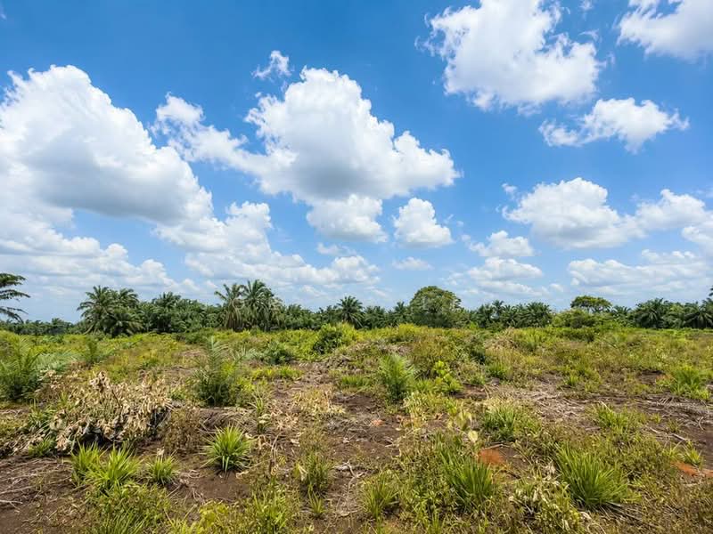 Agricultural Land for Sale in Parit Sikom (Pontian) - Joreen Lee - PropertyGuru.com.my