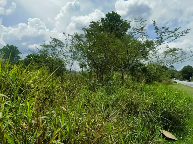 Tanah Perindustrian untuk Dijual di Pekan Nanas (Johor) - Kelly Wai - Exterior - PropertyGuru.com.my