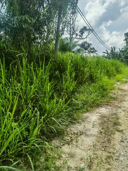 Tanah Perindustrian untuk Dijual di Pekan Nanas (Johor) - Kelly Wai - Exterior - PropertyGuru.com.my