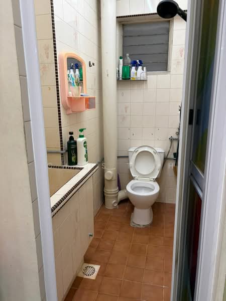 Rumah Flat untuk Dijual di Taman Seri Damai - Chris Teoh - Bathroom - PropertyGuru.com.my
