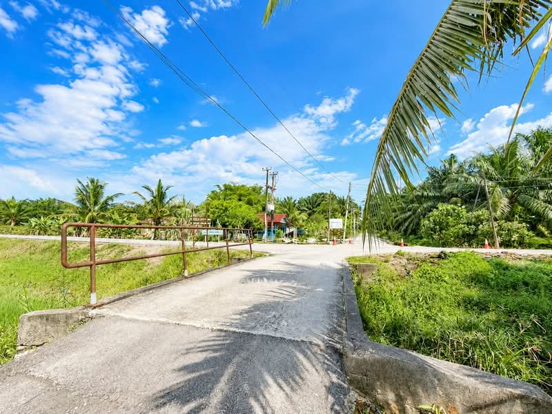 Agricultural Land for Sale in Pontian (Johor) - Joreen Lee - PropertyGuru.com.my