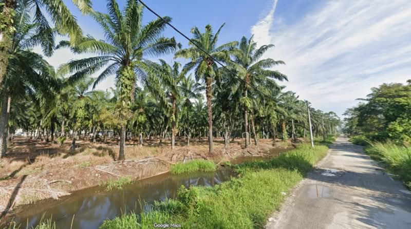 Agricultural Land for Sale in Taman Bukit Badong (Ijok) - Bryan Wong - Exterior - PropertyGuru.com.my