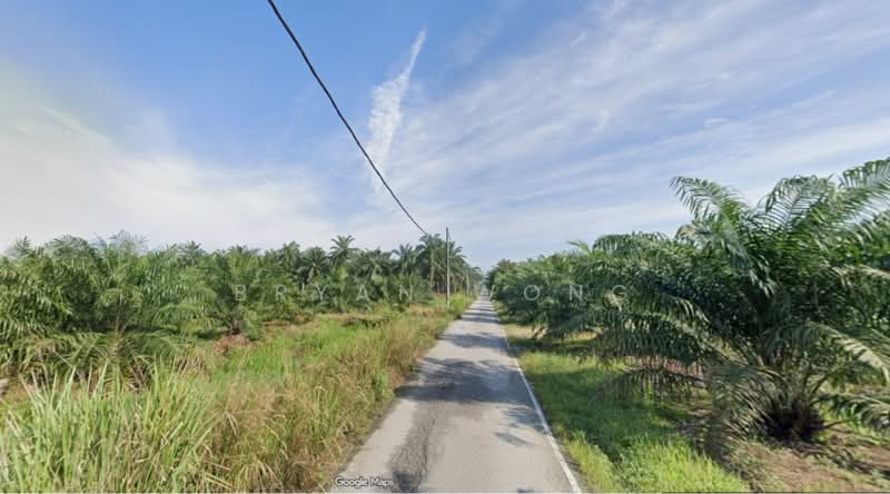 Agricultural Land for Sale in Taman Bukit Badong (Ijok) - Bryan Wong - PropertyGuru.com.my