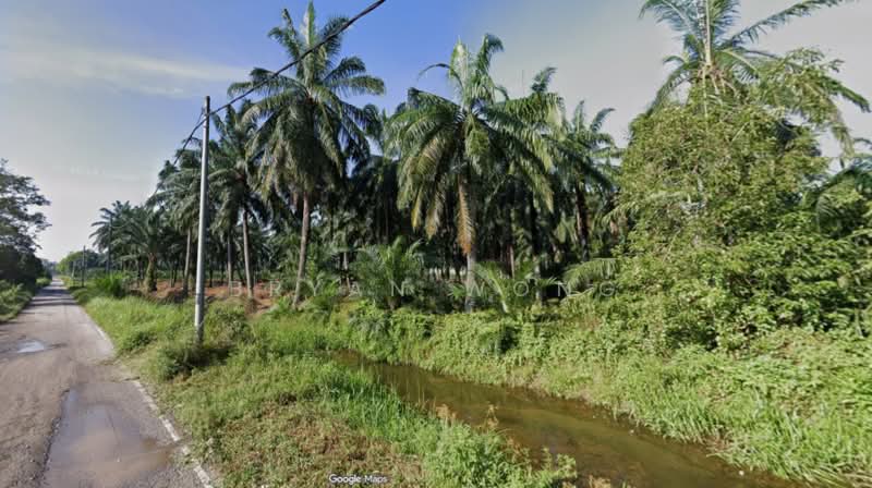 Agricultural Land for Sale in Taman Bukit Badong (Ijok) - Bryan Wong - PropertyGuru.com.my