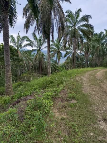 Tanah Pertanian untuk Dijual di Taiping (Perak) - Sue Ahmad - Exterior - PropertyGuru.com.my