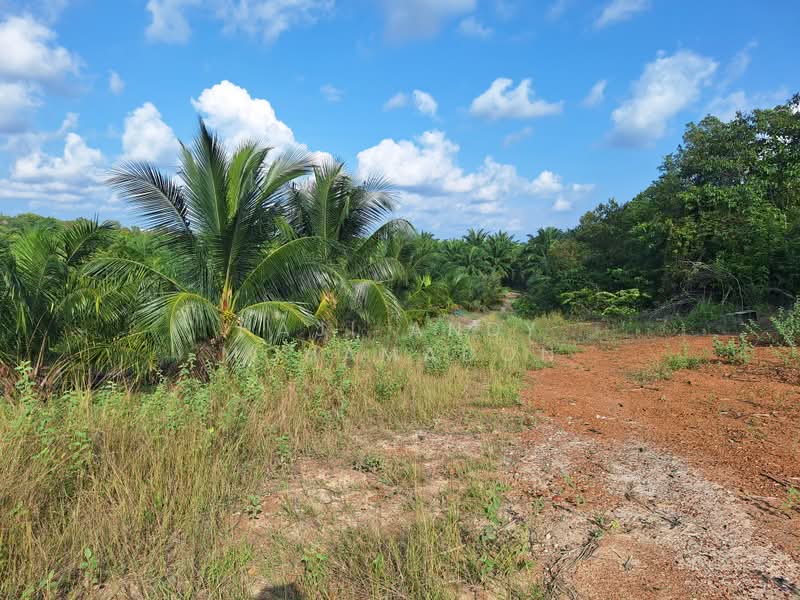 Tanah Pertanian untuk Dijual di Kampung Setajam (Pantai Timur) - Haji Andy Mohamadon - Exterior - PropertyGuru.com.my