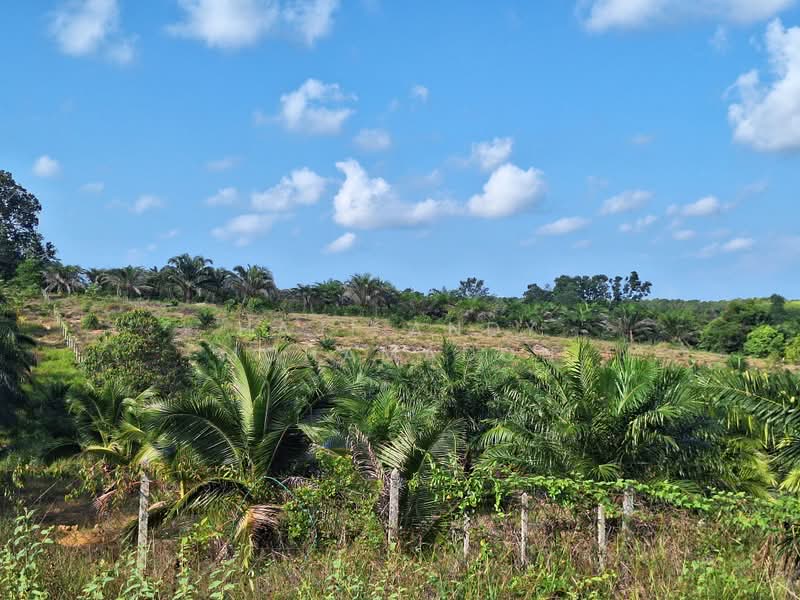 Tanah Pertanian untuk Dijual di Kampung Setajam (Pantai Timur) - Haji Andy Mohamadon - PropertyGuru.com.my