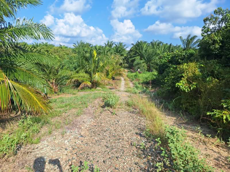 Tanah Pertanian untuk Dijual di Kampung Setajam (Pantai Timur) - Haji Andy Mohamadon - Exterior - PropertyGuru.com.my