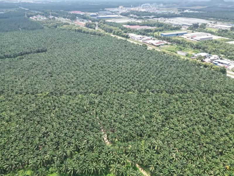 Tanah Perindustrian untuk Dijual di Gurun (Kedah) - Derrick Ng - Exterior - PropertyGuru.com.my