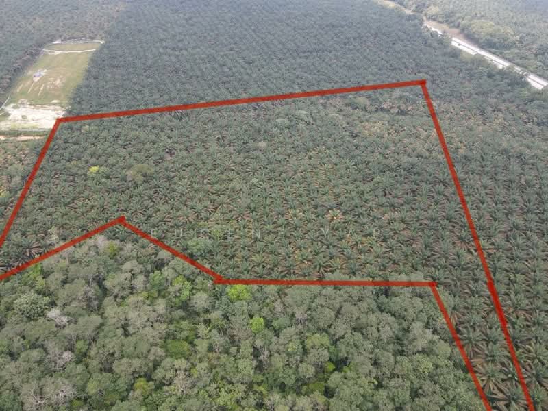 Agricultural Land for Sale in Bidor (Perak) - Eugene Yap - PropertyGuru.com.my