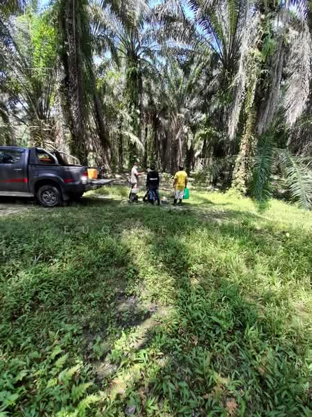Agricultural Land for Sale in Bidor (Perak) - Eugene Yap - Exterior - PropertyGuru.com.my