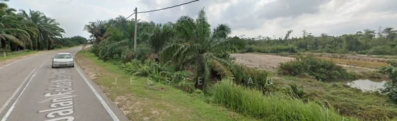 Agricultural Land for Sale in Mersing (Johor) - Jessie Tan - Exterior - PropertyGuru.com.my