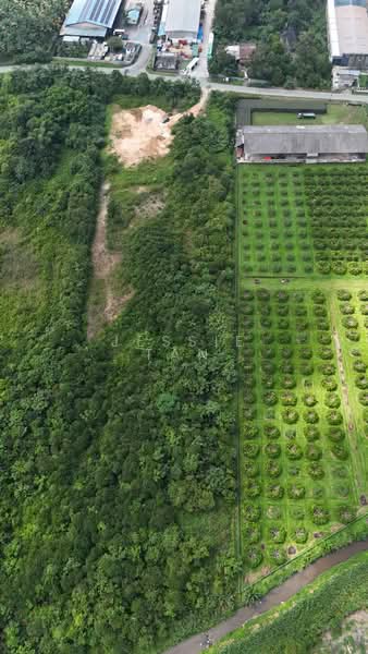 Tanah Perindustrian untuk Dijual di Pekan Nanas (Johor) - Jessie Tan - Exterior - PropertyGuru.com.my
