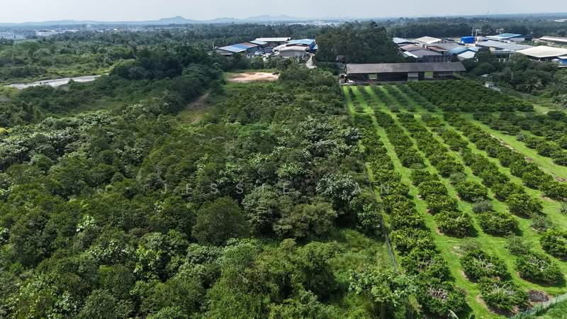 Tanah Perindustrian untuk Dijual di Pekan Nanas (Johor) - Jessie Tan - Exterior - PropertyGuru.com.my
