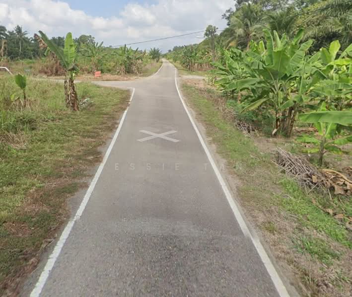 Tanah Pertanian untuk Dijual di Pontian (Johor) - Jessie Tan - Exterior - PropertyGuru.com.my