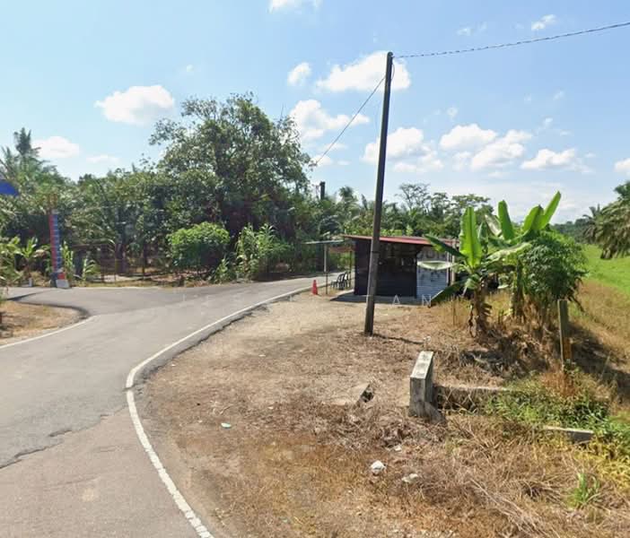 Tanah Pertanian untuk Dijual di Pontian (Johor) - Jessie Tan - Exterior - PropertyGuru.com.my