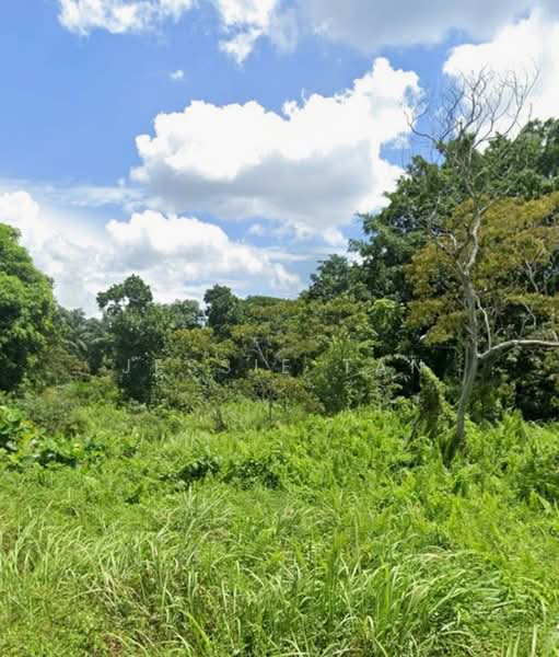 Agricultural Land for Sale in Tanjung Kupang (Iskandar Puteri (Nusajaya)) - Jessie Tan - Garden - PropertyGuru.com.my