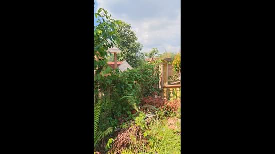 Agricultural Land for Sale in Hulu Langat (Selangor) - Noorsuzila Nordin - PropertyGuru.com.my