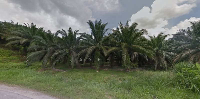 Agricultural Land for Sale in Kampung Sungai Lalang (Semenyih) - Jayee . - Exterior - PropertyGuru.com.my