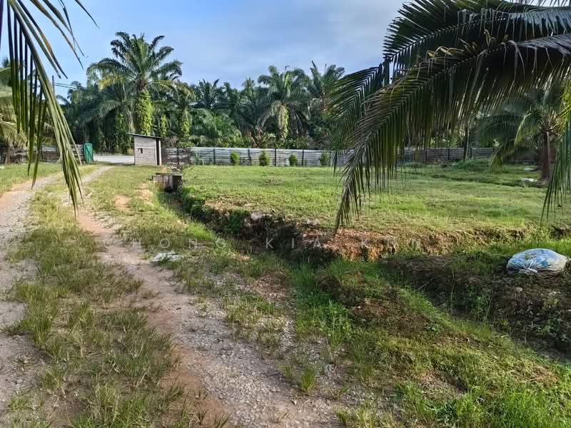 Tanah Pertanian untuk Disewa di Kampung Pulai Jelutung (Gelang Patah) - Chong Kia Keng - PropertyGuru.com.my