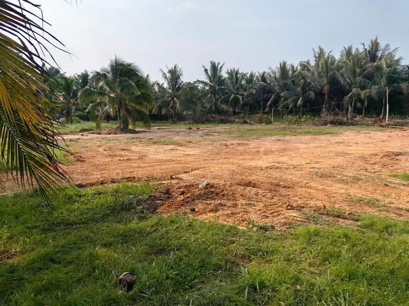 Agricultural Land for Rent in Kampung Pulai Jelutung (Gelang Patah) - Chong Kia Keng - Exterior - PropertyGuru.com.my