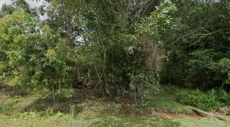 Industrial Land for Sale in Bayan Lepas (Penang) - Leon Ng - Garden - PropertyGuru.com.my
