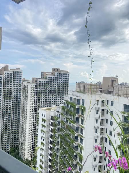 Pangsapuri untuk Disewa di Starview Bay @ Forest City - Alex Cheah - PropertyGuru.com.my
