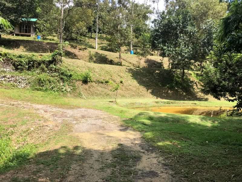 Tanah Pertanian untuk Dijual di Batang Kali (Selangor) - Sue Ahmad - Exterior - PropertyGuru.com.my