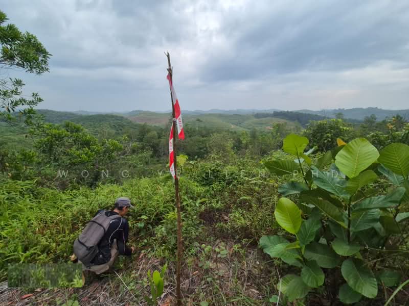 Tanah Pertanian untuk Dijual di Sungai Gumut (Selangor) - Wong Ye Lien PhD - Exterior - PropertyGuru.com.my