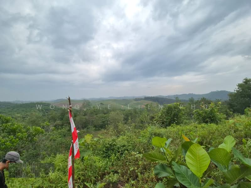 Tanah Pertanian untuk Dijual di Sungai Gumut (Selangor) - Wong Ye Lien PhD - Exterior - PropertyGuru.com.my