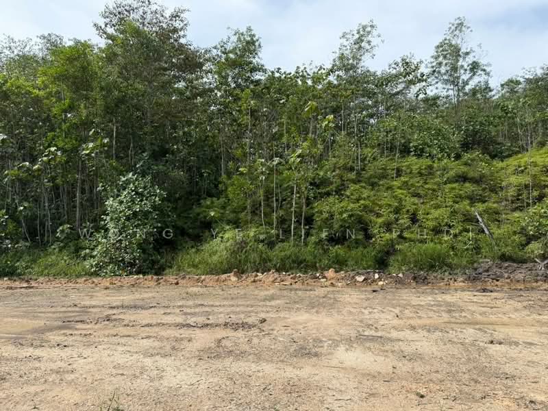 Tanah Pertanian untuk Dijual di Sungai Gumut (Selangor) - Wong Ye Lien PhD - Exterior - PropertyGuru.com.my