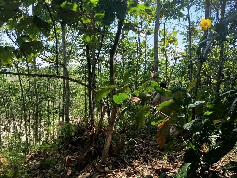 Tanah Pertanian untuk Dijual di Sungai Gumut (Selangor) - Wong Ye Lien PhD - Exterior - PropertyGuru.com.my